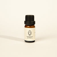 Esencia Manzana Canela 10ml