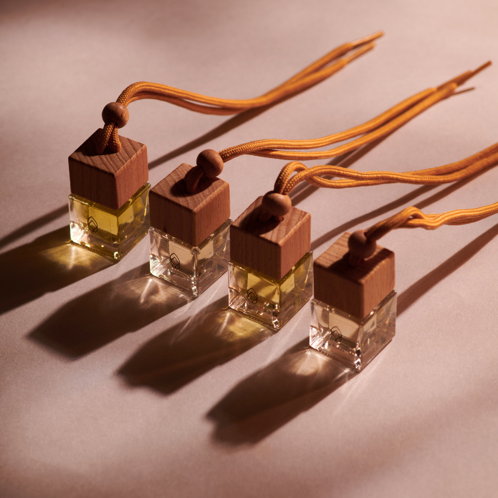 Pack 2 Difusor de Auto