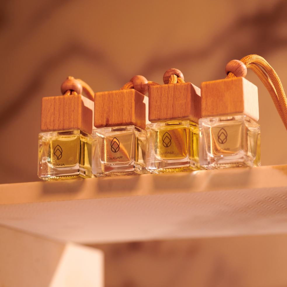 Pack 2 Difusor de Auto