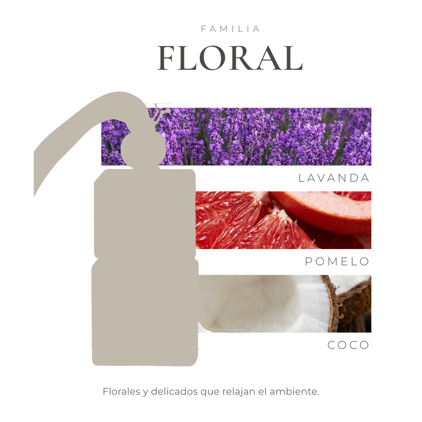 perfil-aroma-v1