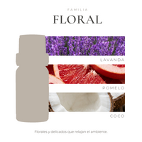 perfil-aroma-v1