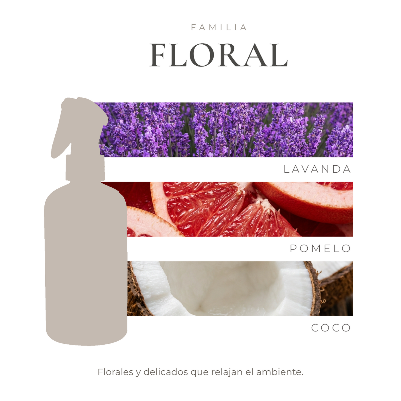 perfil-aroma-v1