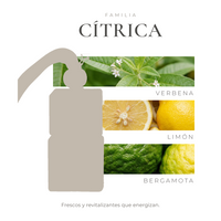 perfil-aroma-v1