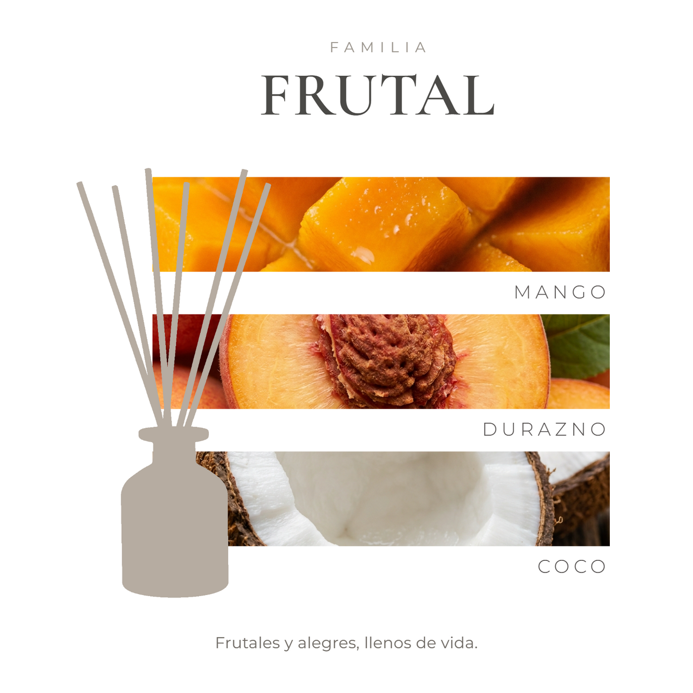 perfil-aroma-v1