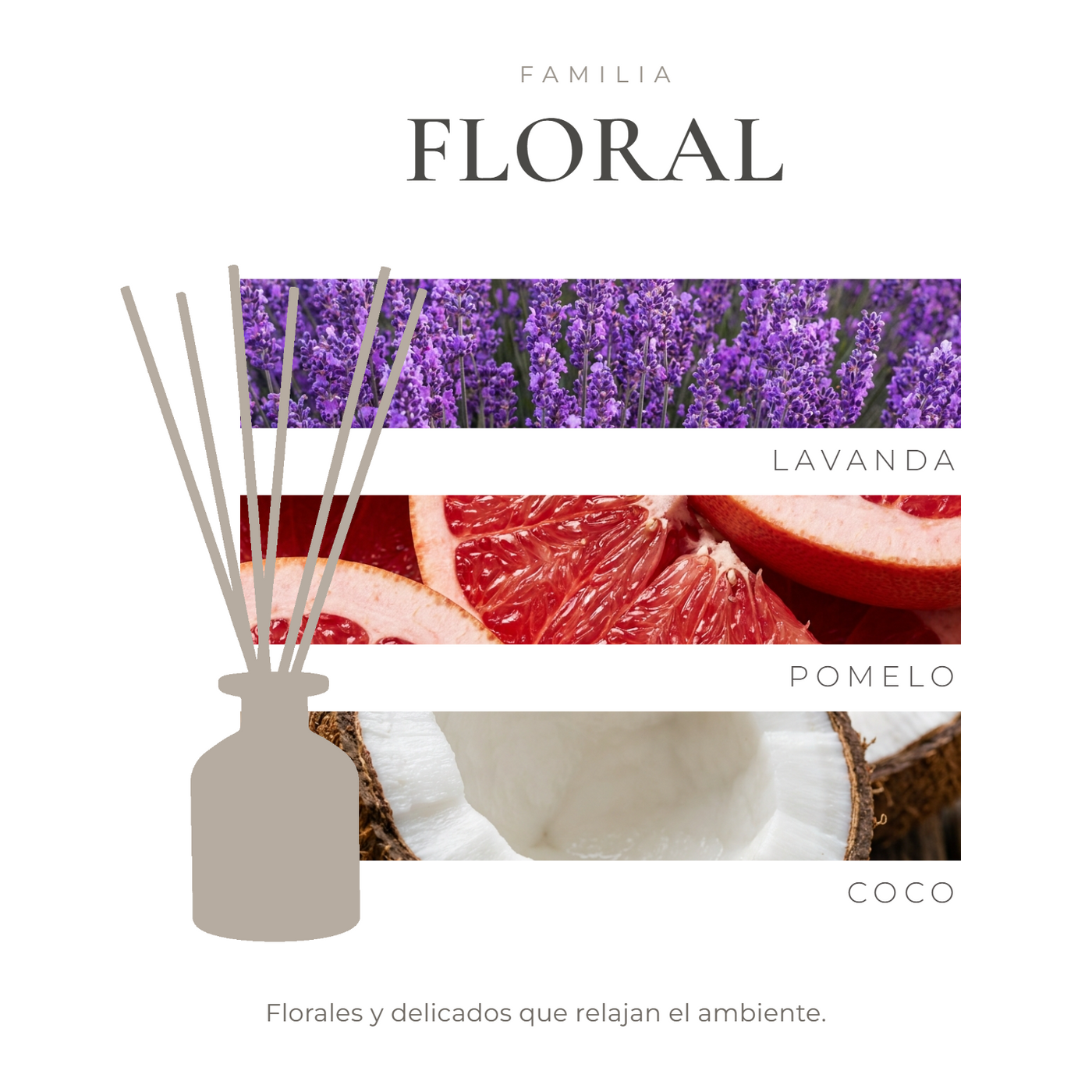 perfil-aroma-v1