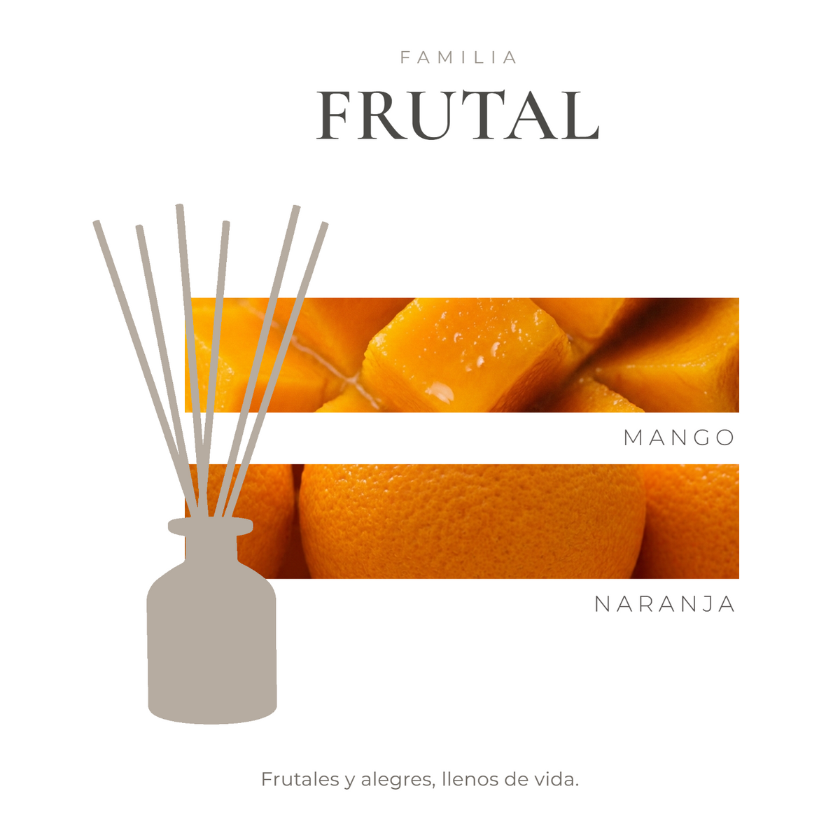 perfil-aroma-v1