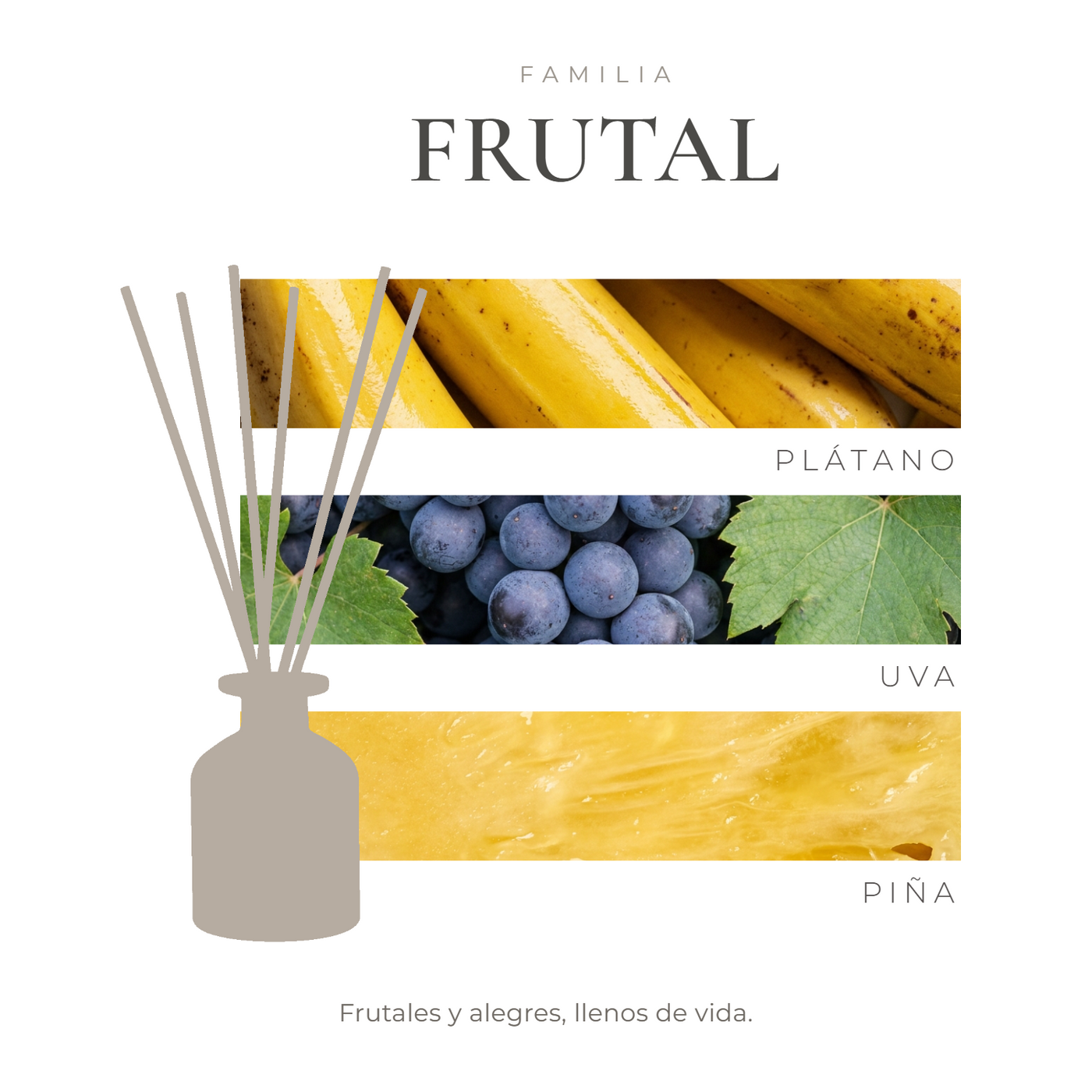 perfil-aroma-v1