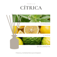 perfil-aroma-v1