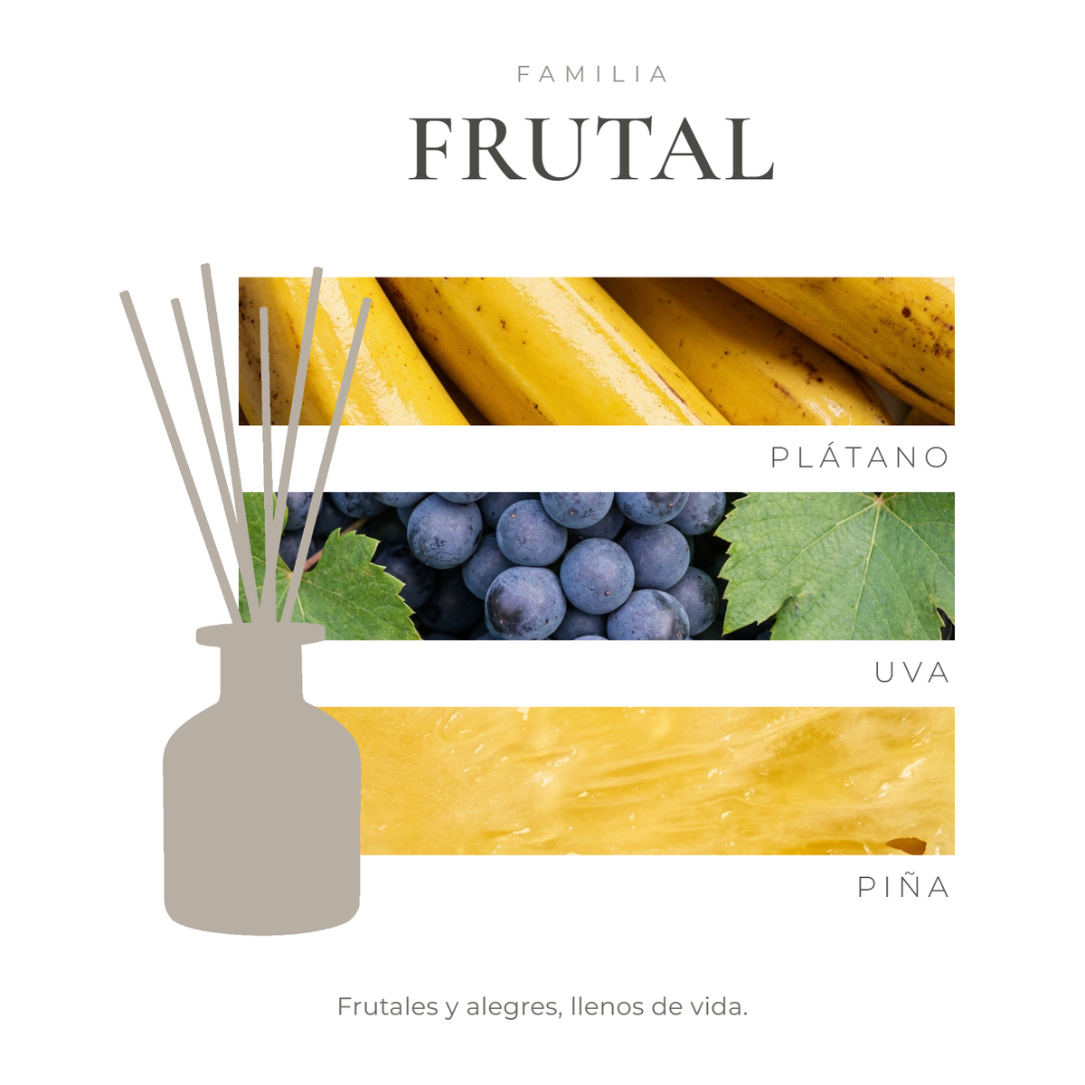 perfil-aroma-v1