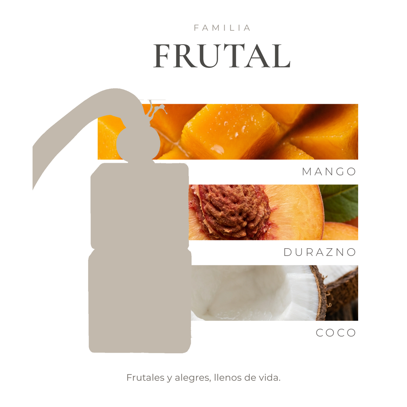 perfil-aroma-v1