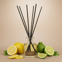 Difusor Aromático 100ml Vitali