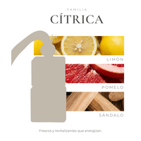 perfil-aroma-v1