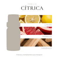 perfil-aroma-v1