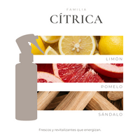 perfil-aroma-v1