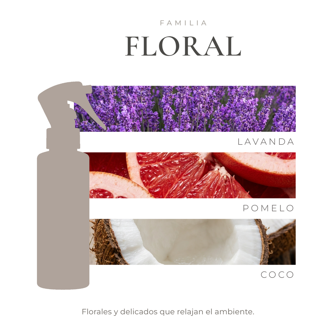 perfil-aroma-v1