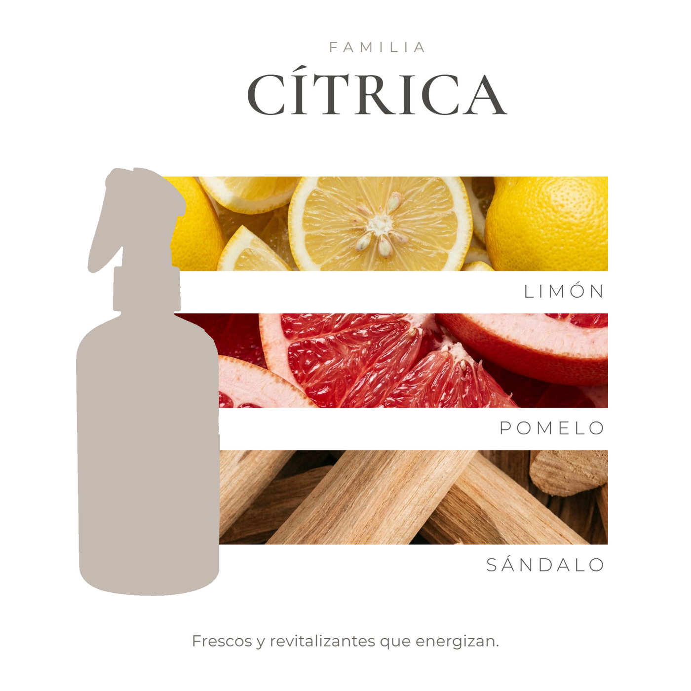 perfil-aroma-v1