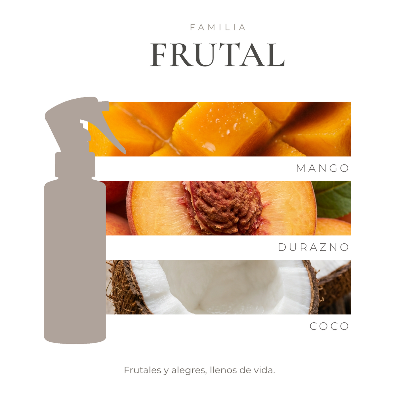 perfil-aroma-v1