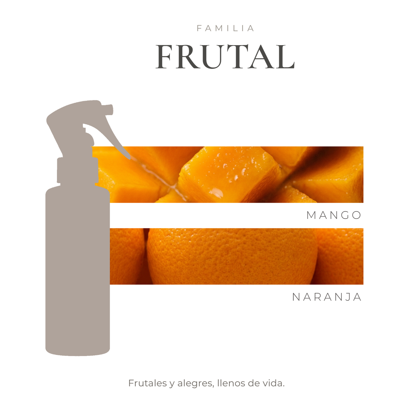 perfil-aroma-v1