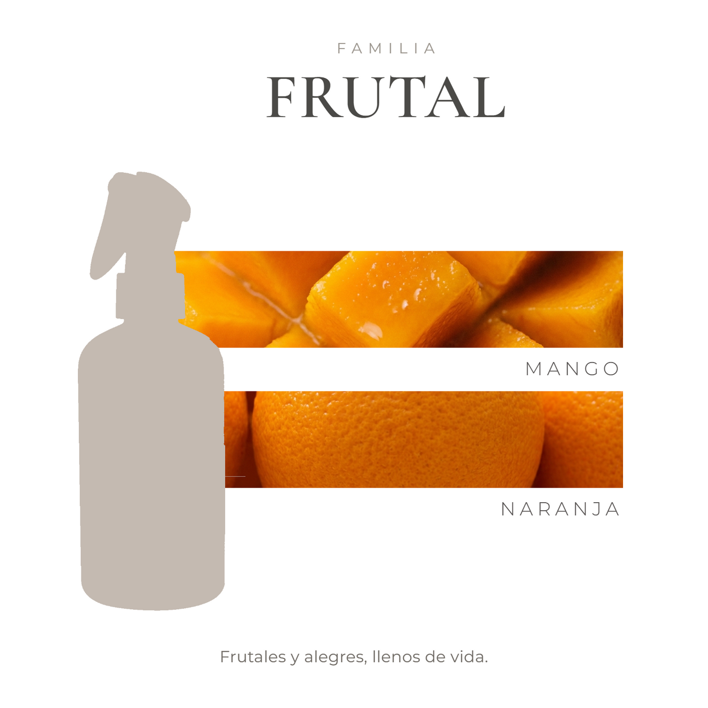 perfil-aroma-v1