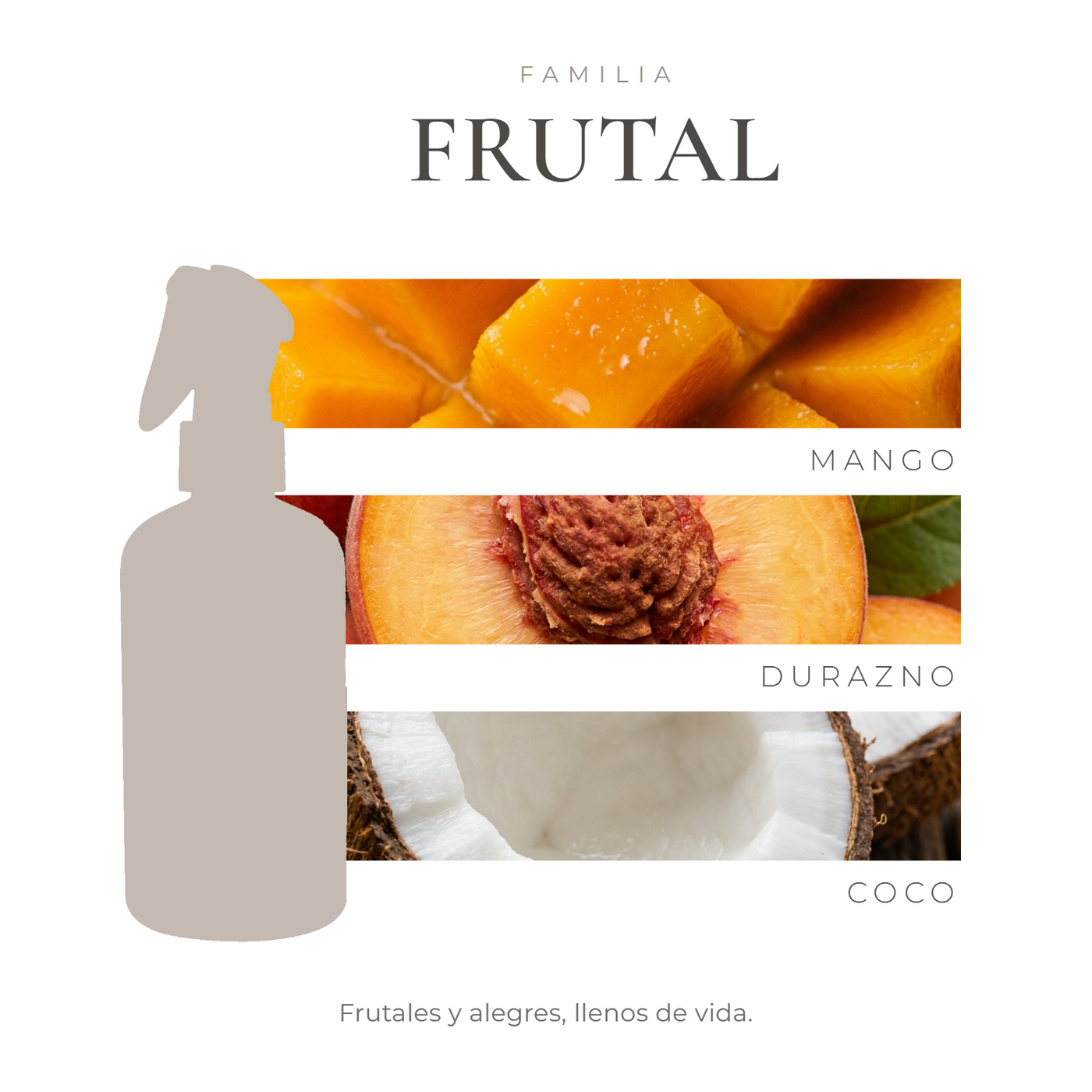 perfil-aroma-v1