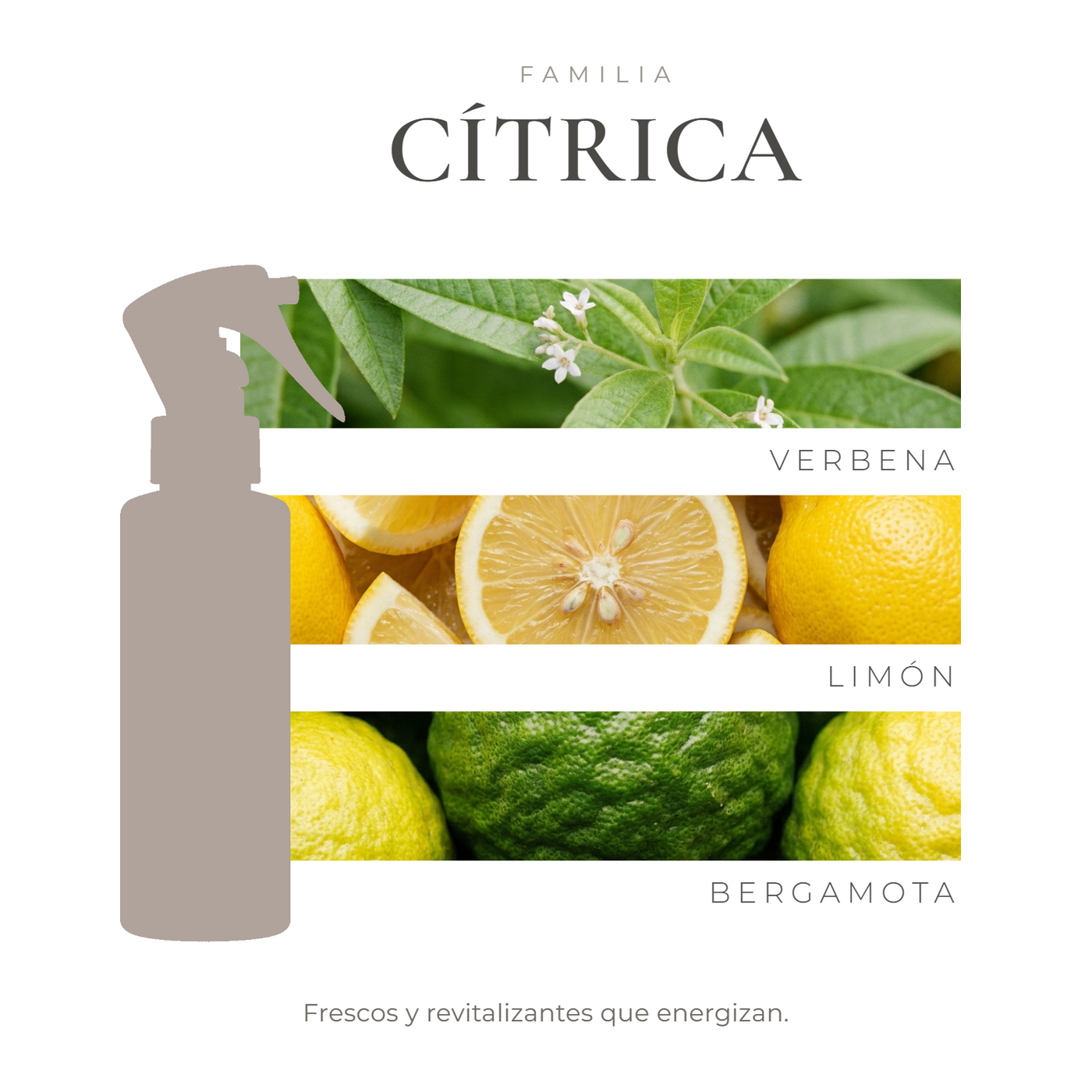 perfil-aroma-v1