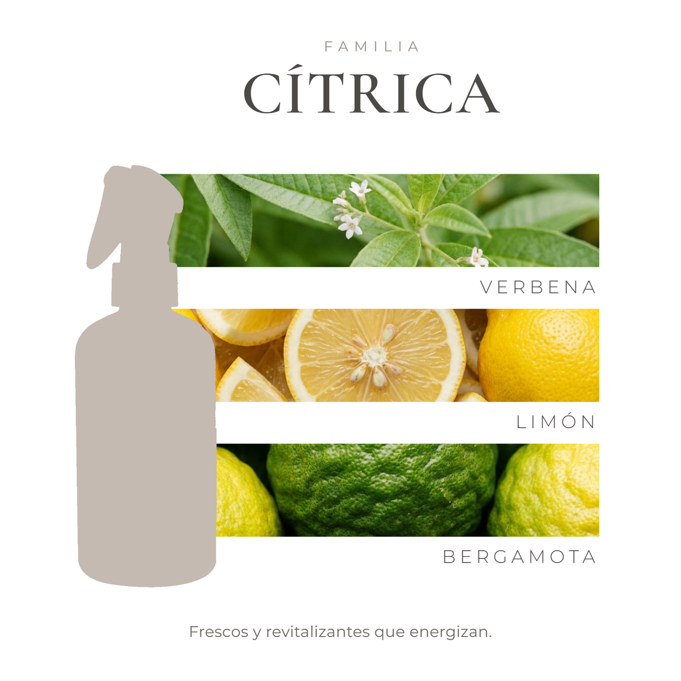 perfil-aroma-v1