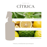 perfil-aroma-v1
