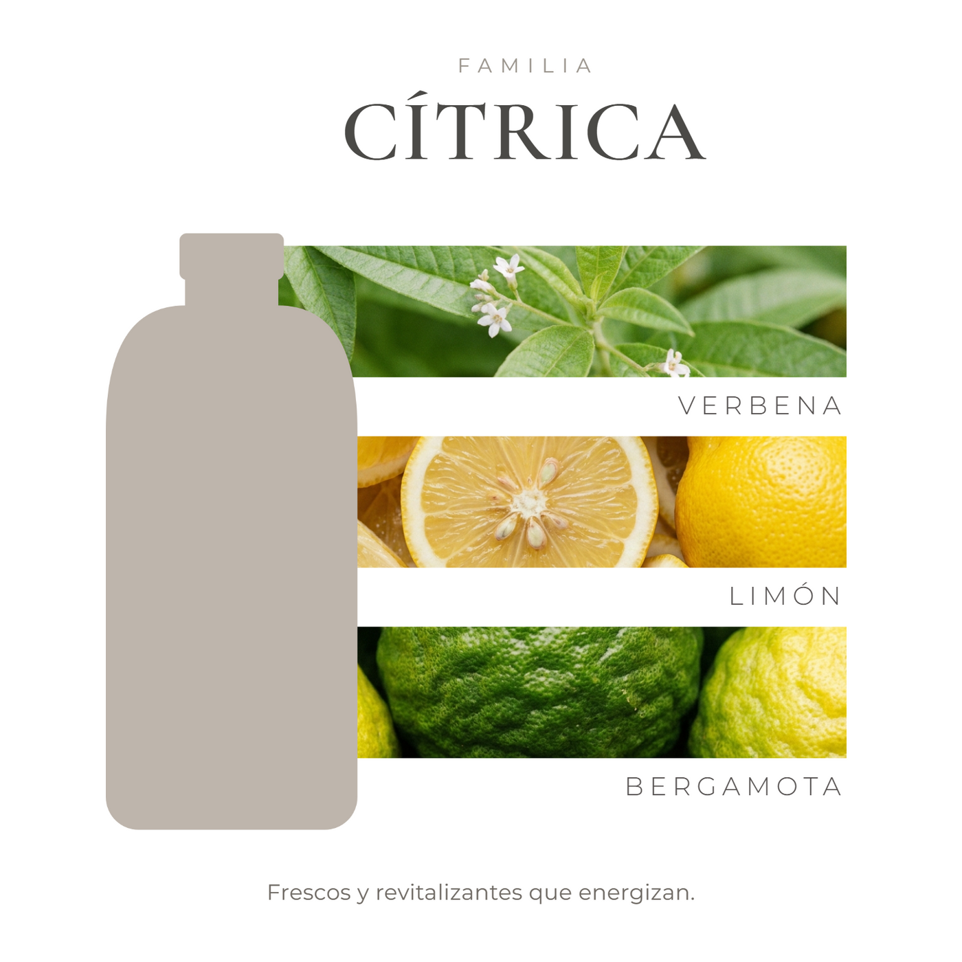 perfil-aroma-v1