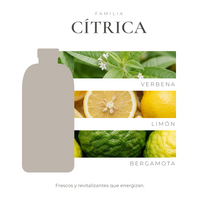 perfil-aroma-v1