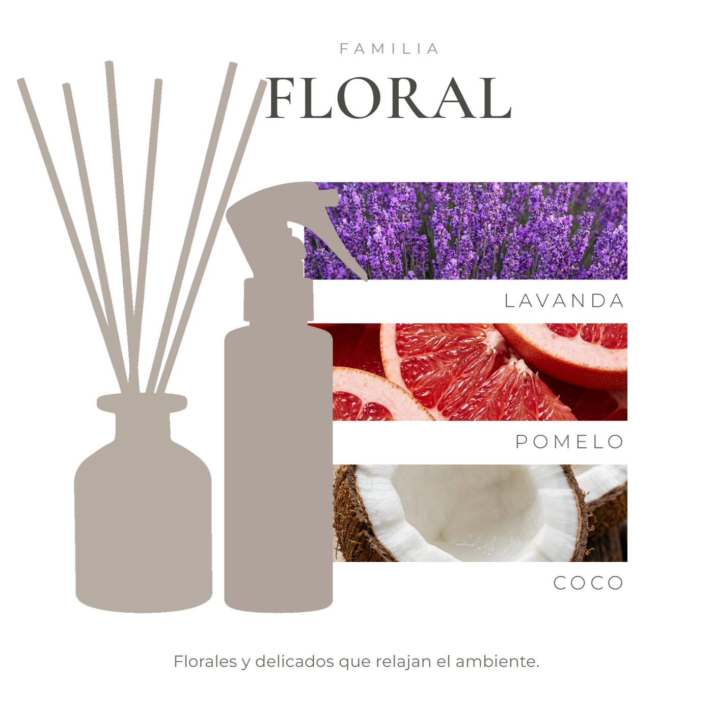 pack-nota-bloom