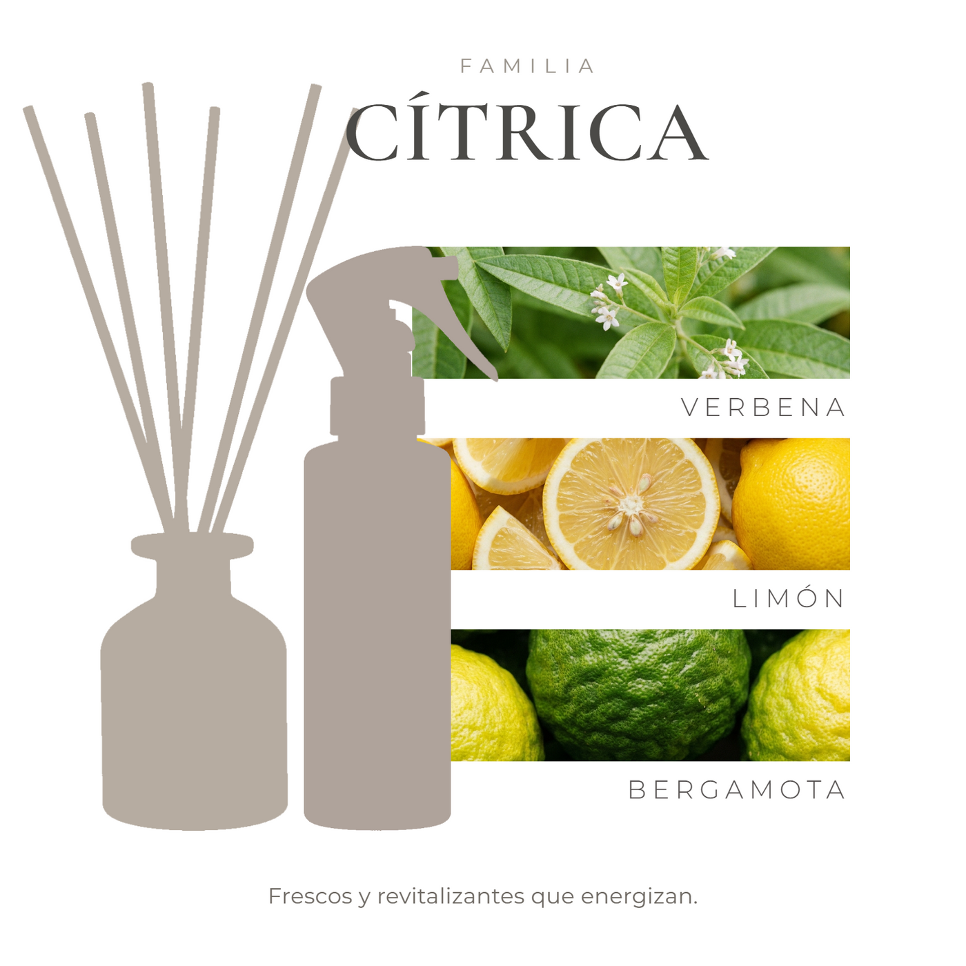 pack-nota-vitali