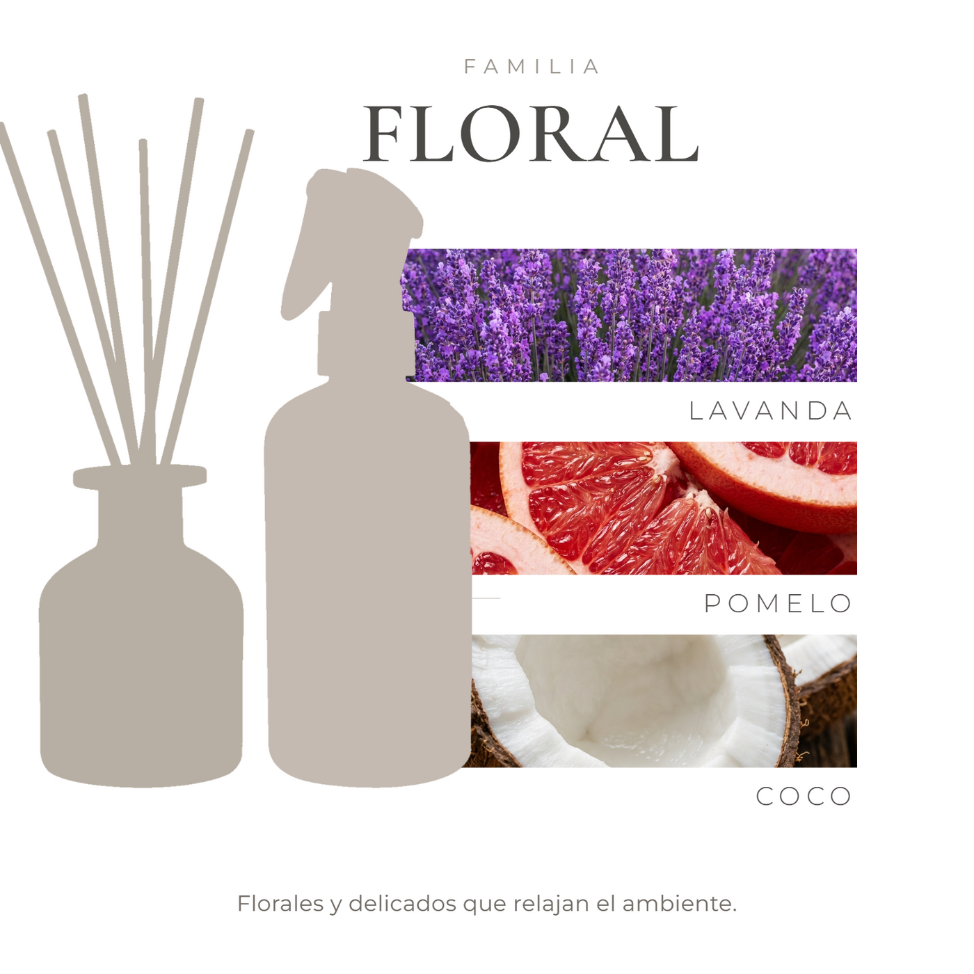 pack-nota-bloom