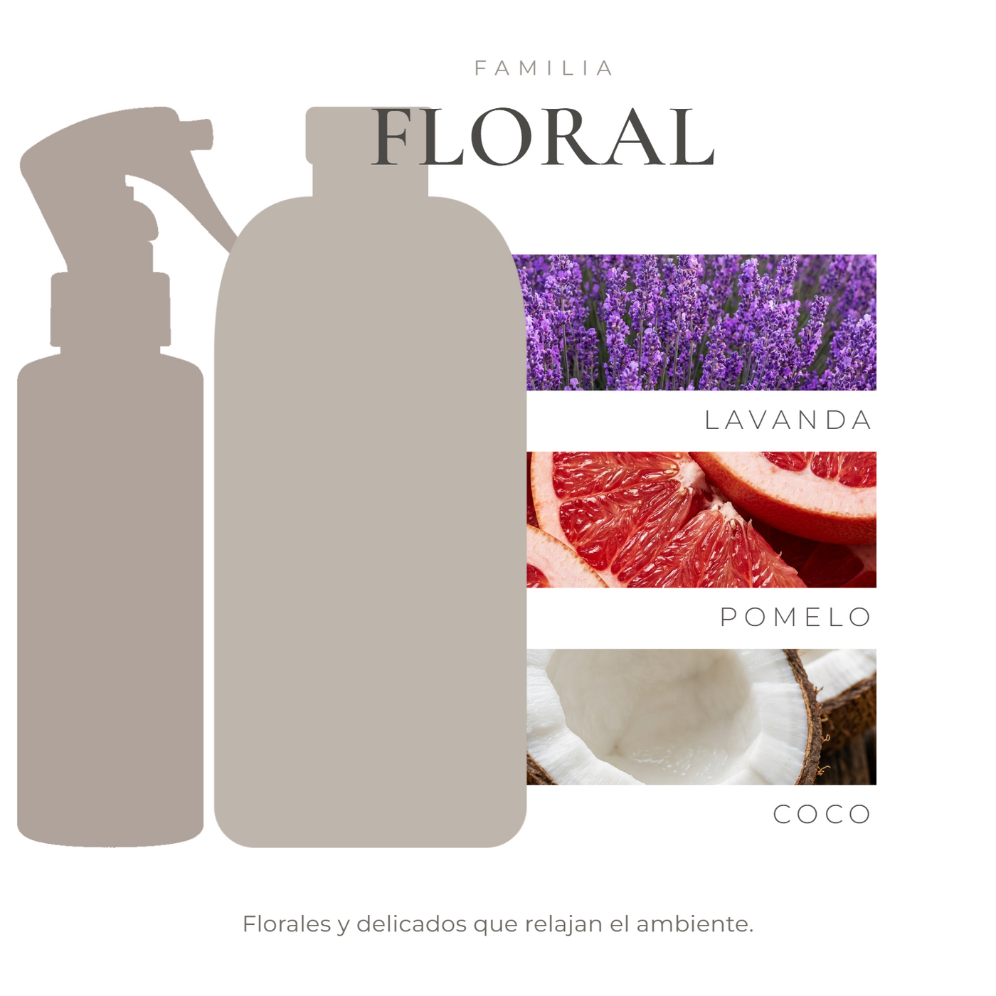pack-nota-bloom
