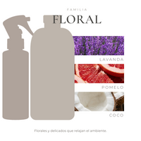 pack-nota-bloom