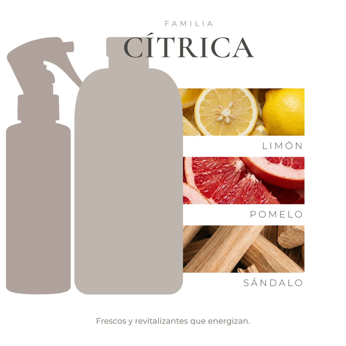pack-nota-fresh