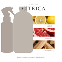 pack-nota-fresh