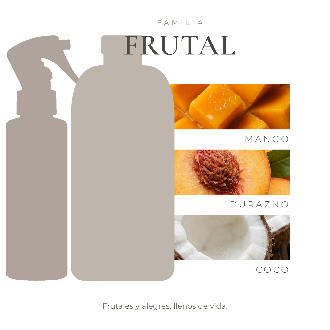 pack-nota-tropical