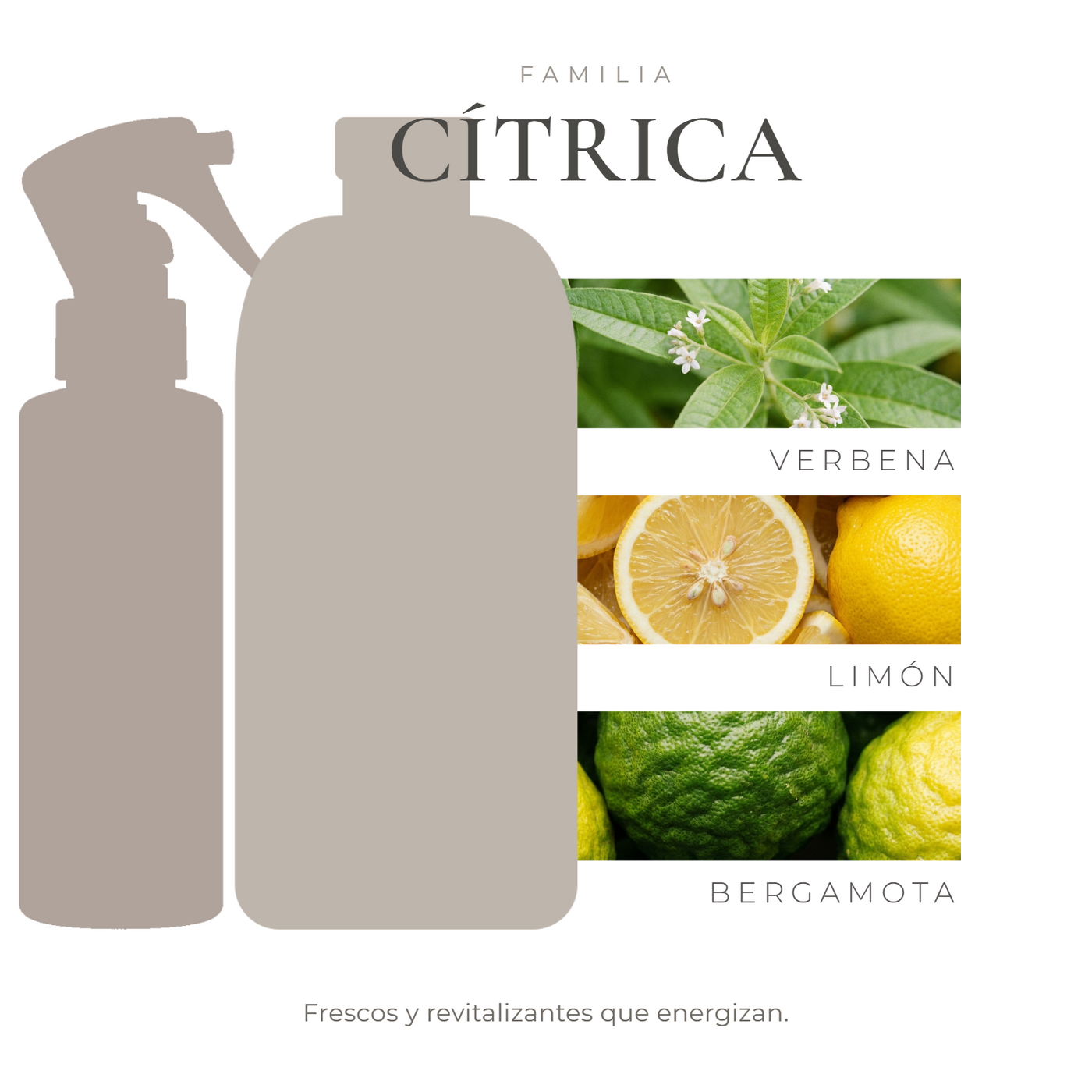 pack-nota-vitali