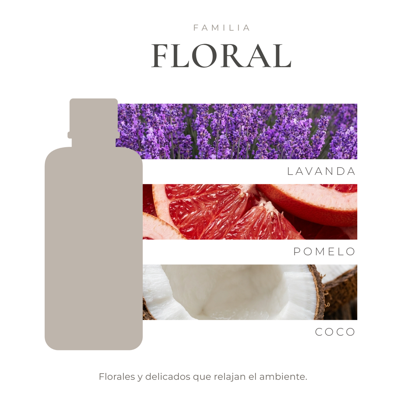 perfil-aroma-v1