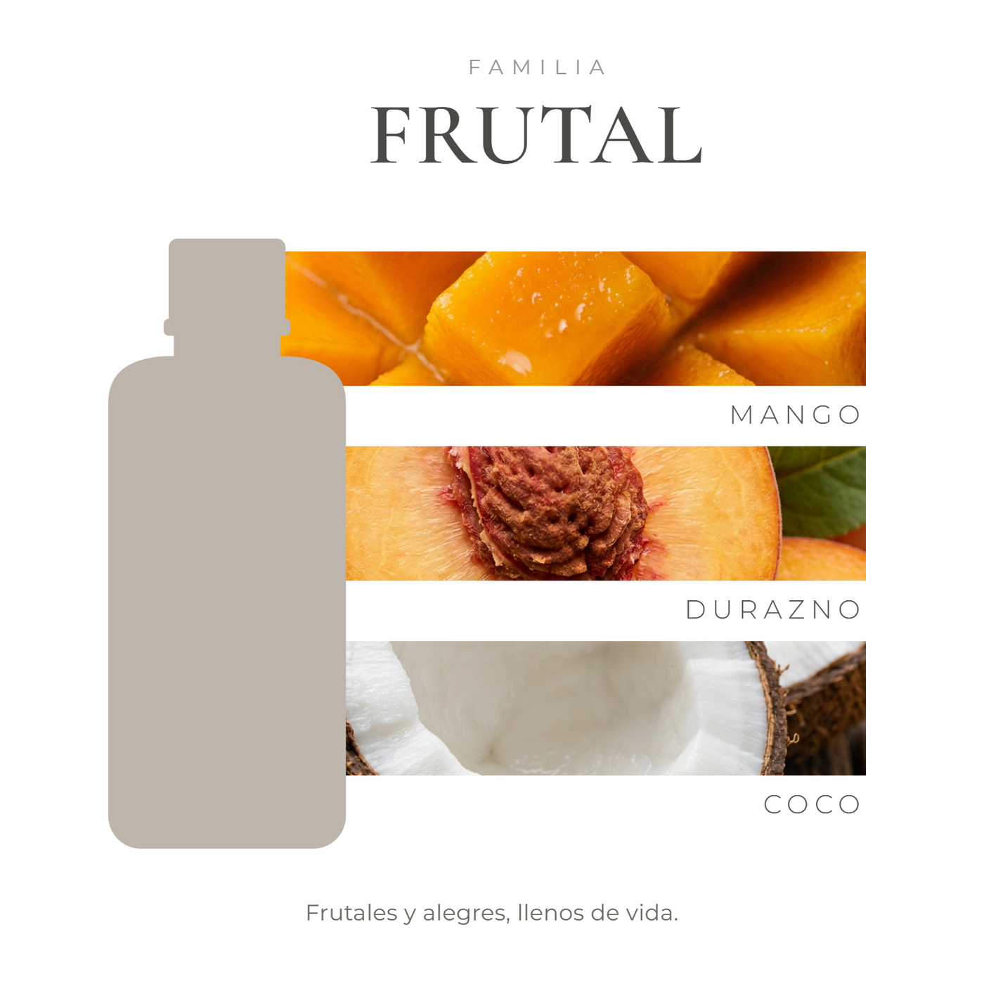perfil-aroma-v1
