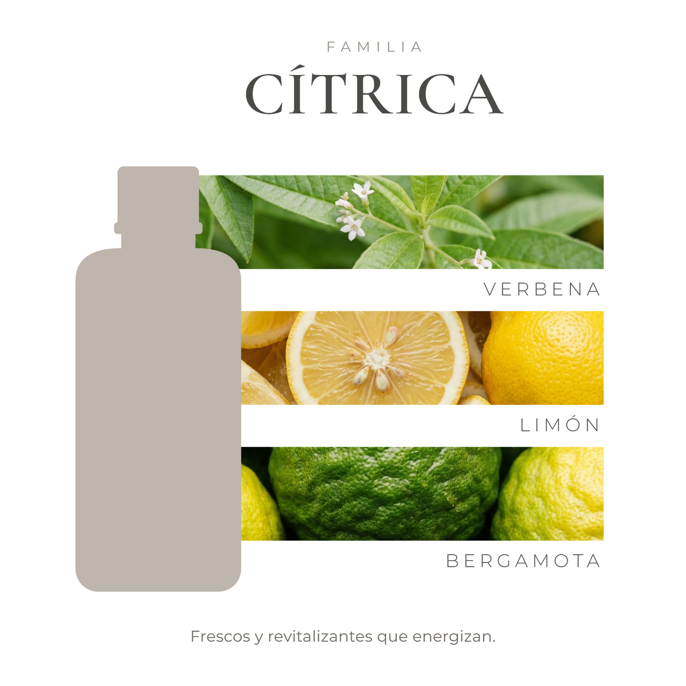 perfil-aroma-v1