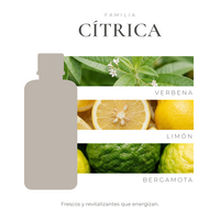 perfil-aroma-v1