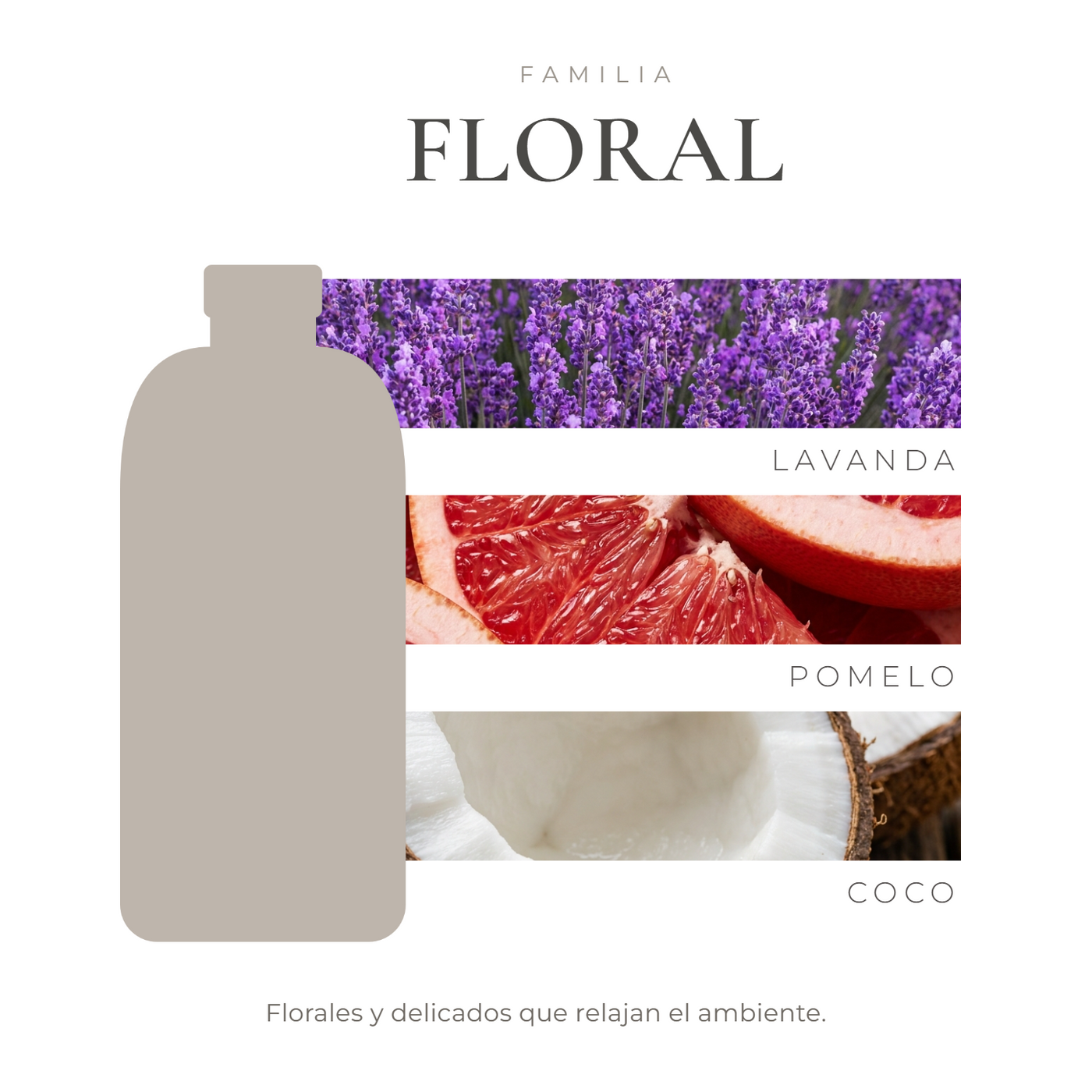 perfil-aroma-v1
