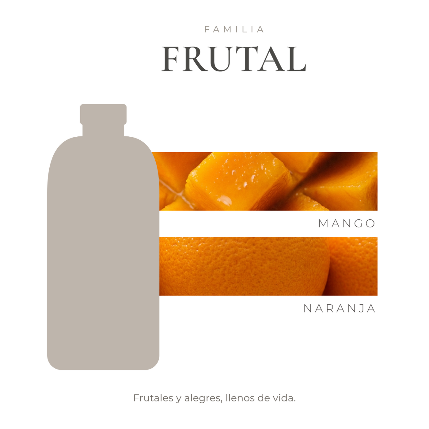 perfil-aroma-v1
